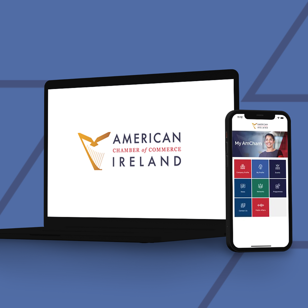 AmCham App 4